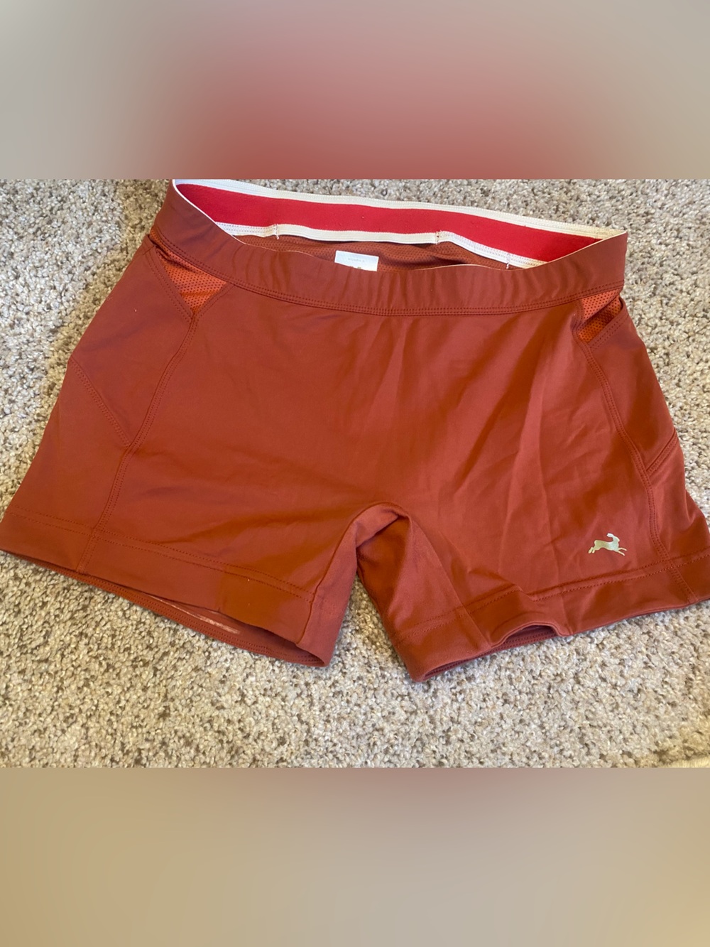 Tracksmith 5 lane shorts